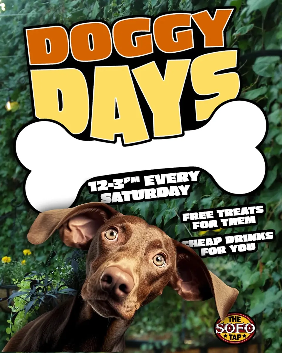 Doggy Days at The SoFo Tap — Saturday afternoon event with free treats for dogs and cheap drinks for humans.