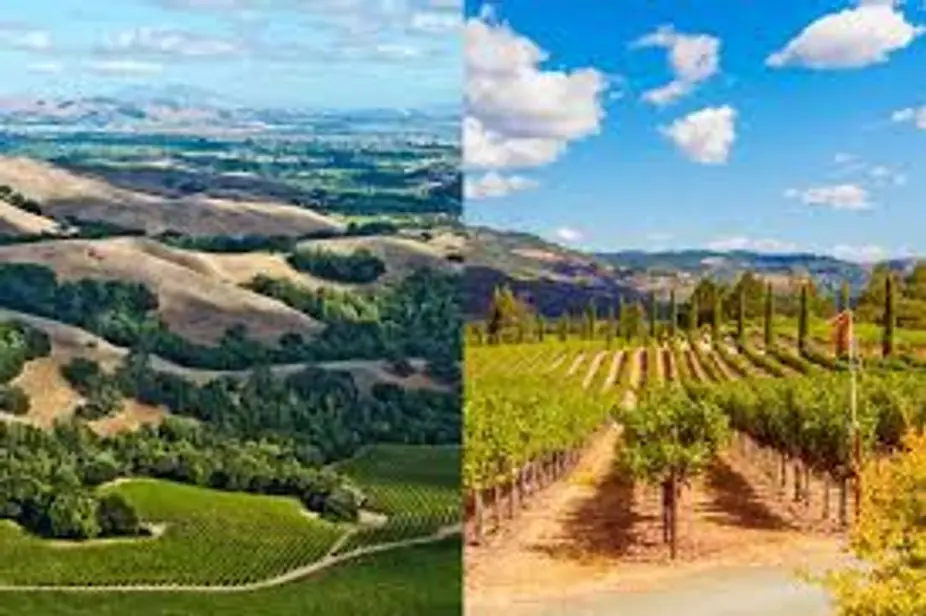 Spanish Wine Dinner! at Uvae Kitchen & Wine Bar — Uvae's July Wine Dinner featuring exceptional Spanish wines from Manzanos Wines. Enjoy a thoughtfully curated six-course pairing menu with wine.
