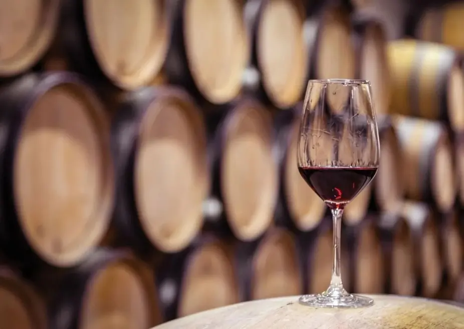 The History of Grapes at Uvae Kitchen & Wine Bar — Explore the history of wine grapes and their centuries-old origins with Somm Erika. Learn about some of the wine world's most fascinating varietals.