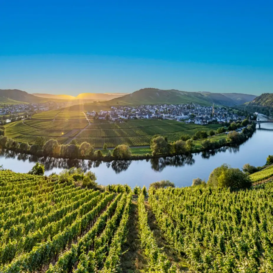 The Wines of Austria! at Uvae Kitchen & Wine Bar — Sommelier Erika teaches about Austria's long winemaking history and robust whites and easy-drinking red wines through a guided tasting.