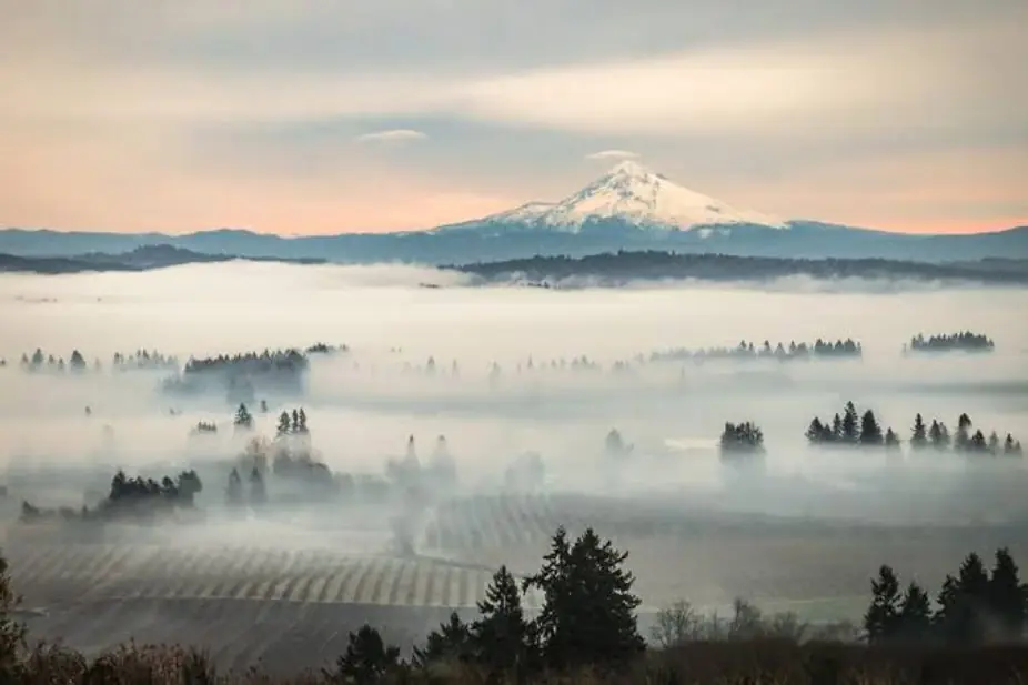 Famous Wines of France at Uvae Kitchen & Wine Bar — Travel through France with Uvae's Somm Team visiting the most famous regions including Bordeaux, Provence, the Loire Valley, and Champagne.