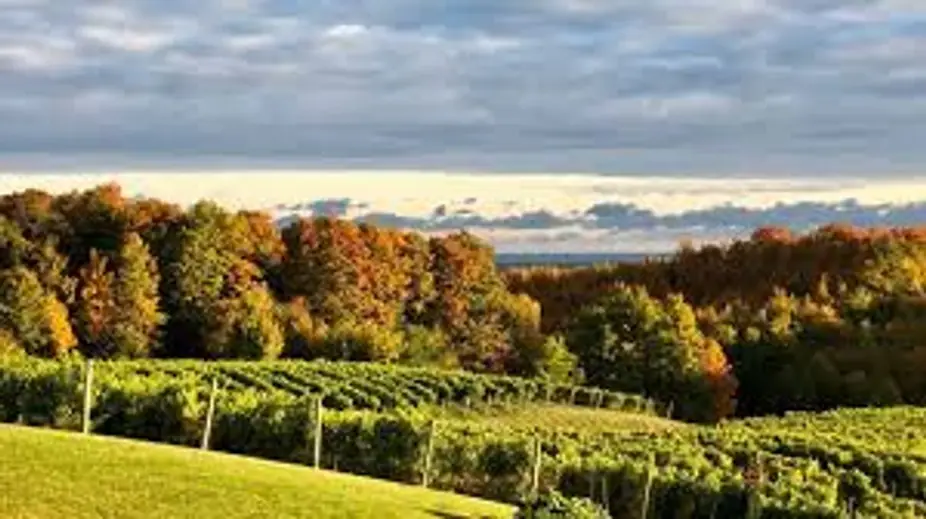 Napa vs. Sonoma at Uvae Kitchen & Wine Bar — Uvae's Sommelier Team will feature wines from both Napa and Sonoma, California's world-famous winemaking regions, and discuss the vast differences between them despite their proximity.