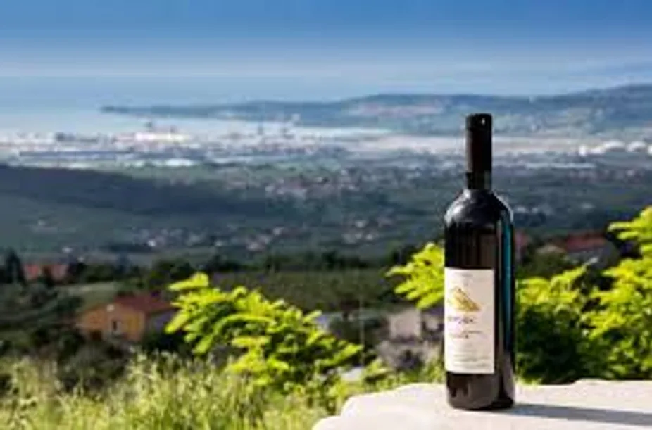 International Viognier Day at Uvae Kitchen & Wine Bar — Celebrate this beloved aromatic white wine grape by experiencing Viognier from different corners…